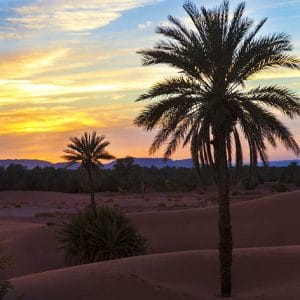 Coucher de soleil- désert marocain