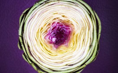 Artichaut, vu par une photographe culinaire, la suite….