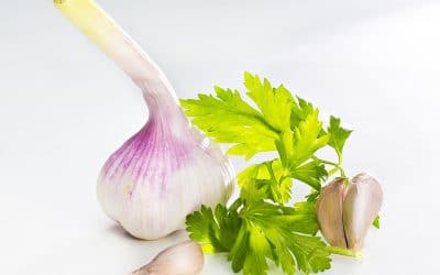 Photos de recettes de cuisine