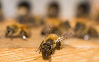 Bien se préparer pour faire un reportage photo