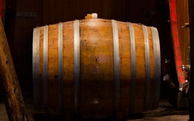 Vignes à l’automne