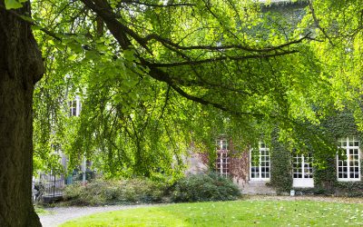 La Maison dans le Parc à Nancy